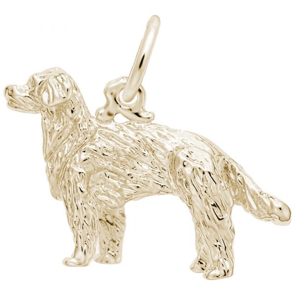 Rembrandt Charms Golden Retriever Dog Charm