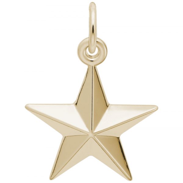 Rembrandt Charms Star Charm