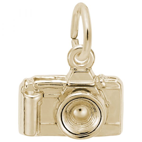 Rembrandt Charms Camera Charm