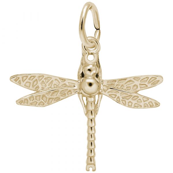 Rembrandt Charms Dragonfly Charm