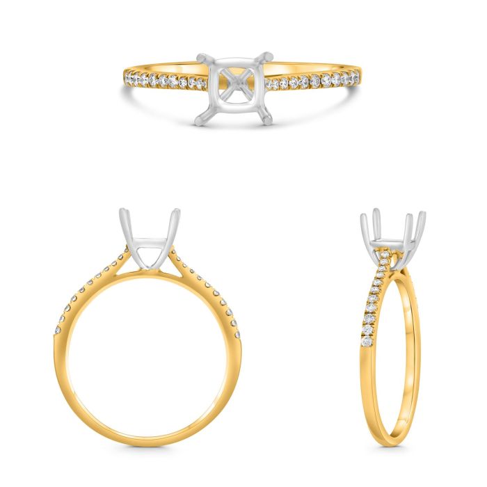 Diamond Engagement Ring Setting